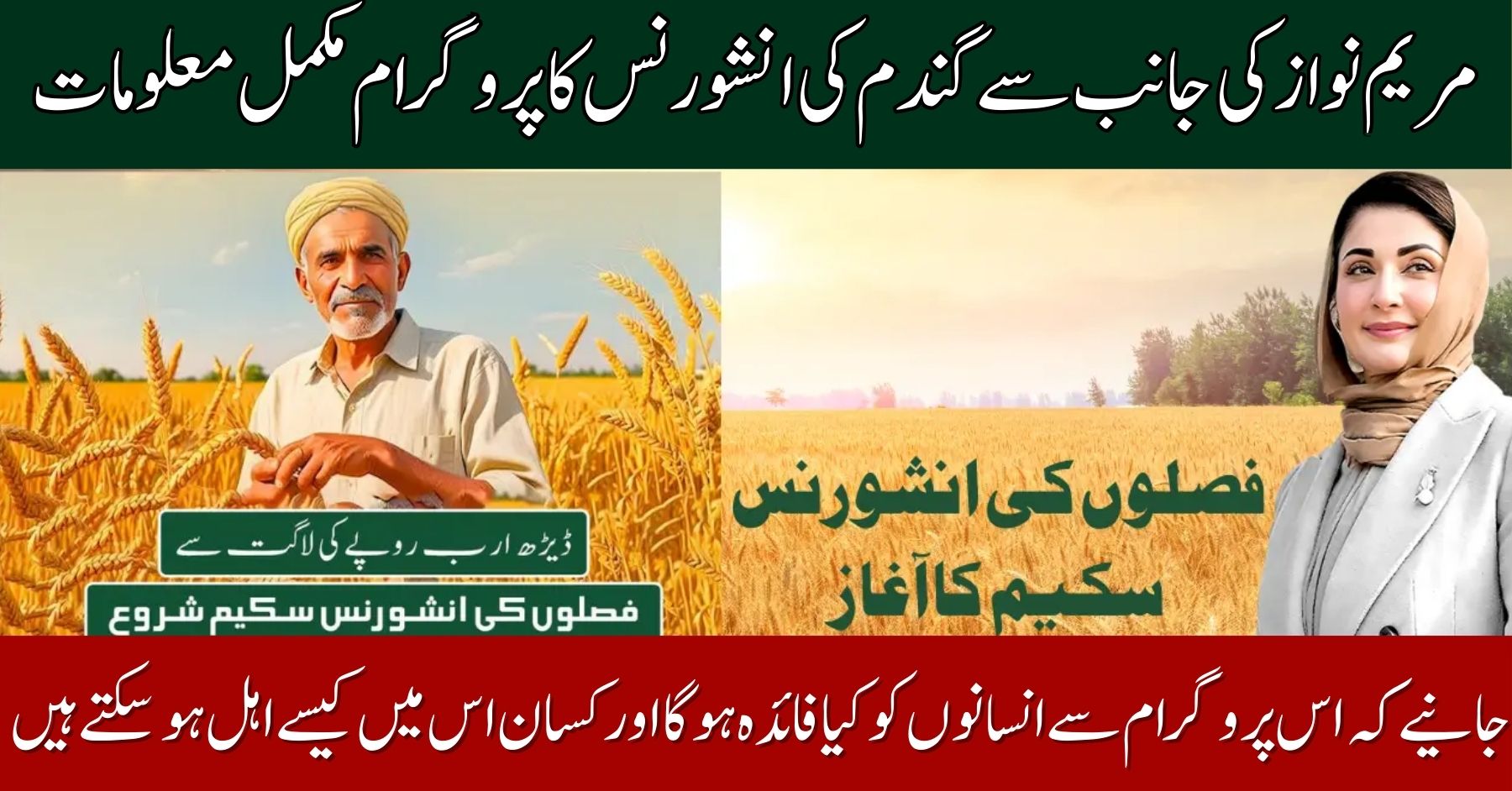 Punjab Crop Insurance Scheme